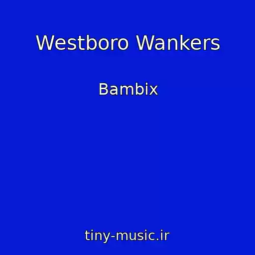 کاور آهنگ Westboro Wankers از Bambix