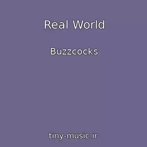 کاور آهنگ Real World از Buzzcocks