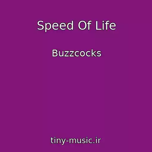 کاور آهنگ Speed Of Life از Buzzcocks