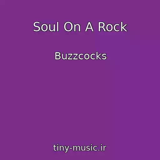 کاور آهنگ Soul On A Rock از Buzzcocks