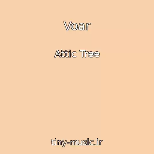 کاور آهنگ Voar از Attic Tree