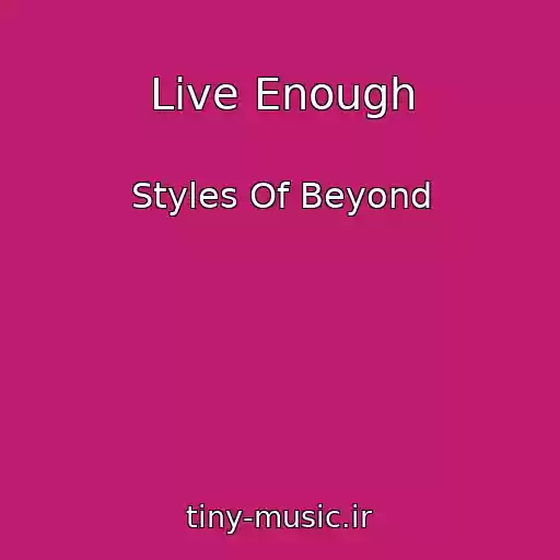 کاور آهنگ Live Enough از Styles Of Beyond
