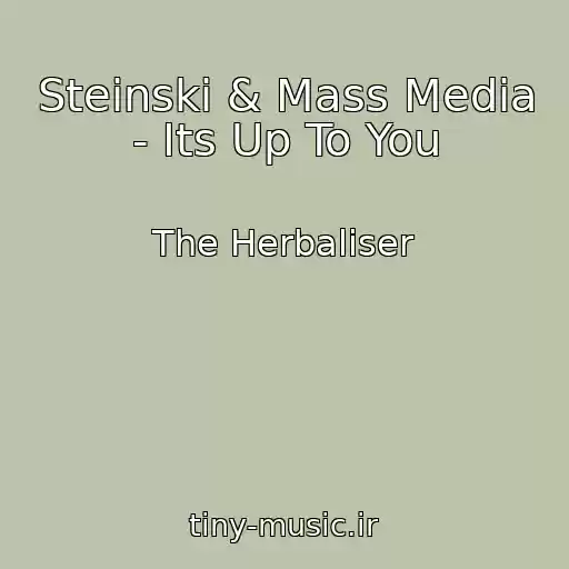 کاور آهنگ Steinski & Mass Media - Its Up To You از The Herbaliser