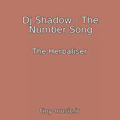 کاور آهنگ Dj Shadow - The Number Song از The Herbaliser