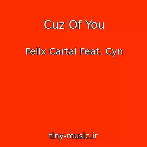 کاور آهنگ Cuz Of You از Felix Cartal Feat. Cyn