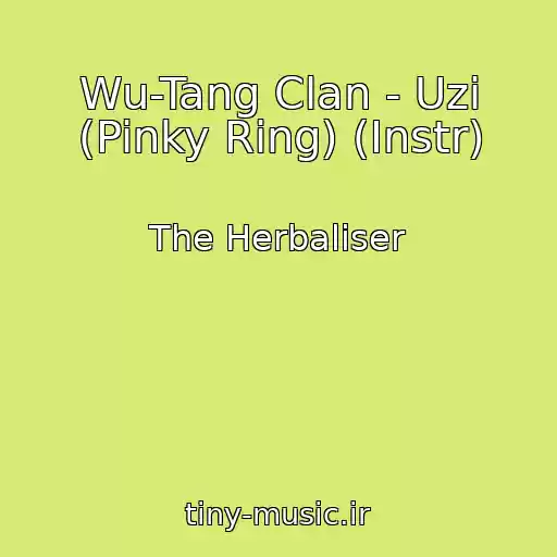 کاور آهنگ Wu-Tang Clan - Uzi (Pinky Ring) (Instr) از The Herbaliser