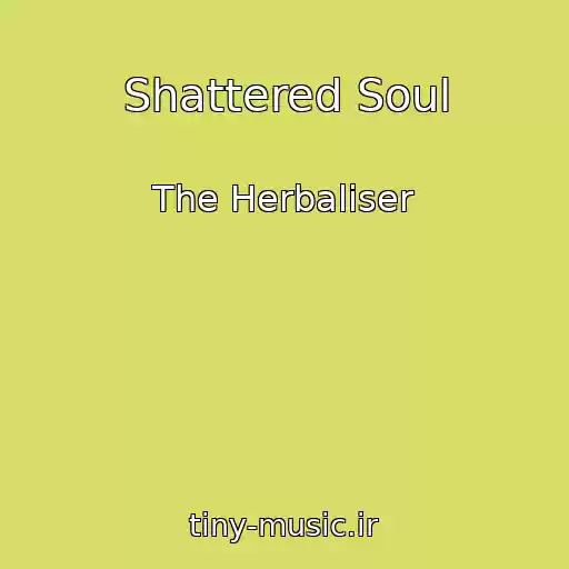 کاور آهنگ Shattered Soul از The Herbaliser