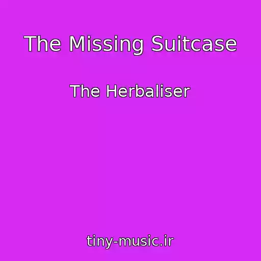 کاور آهنگ The Missing Suitcase از The Herbaliser