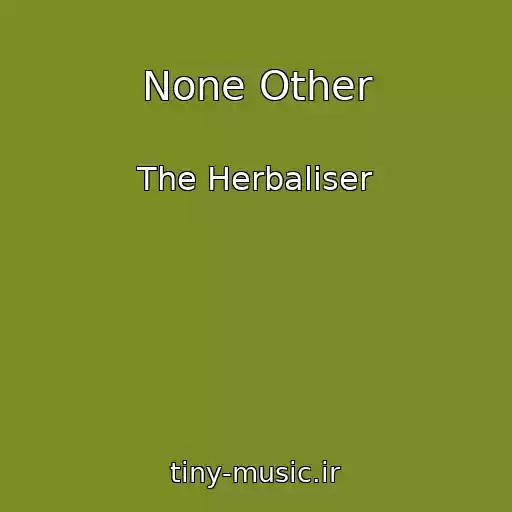 کاور آهنگ None Other از The Herbaliser