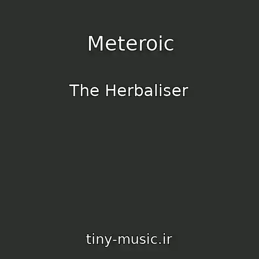 کاور آهنگ Meteroic از The Herbaliser