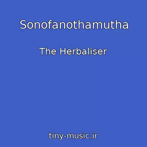 کاور آهنگ Sonofanothamutha از The Herbaliser