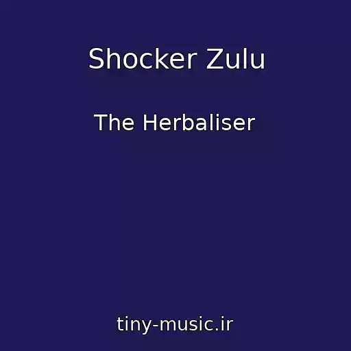 کاور آهنگ Shocker Zulu از The Herbaliser