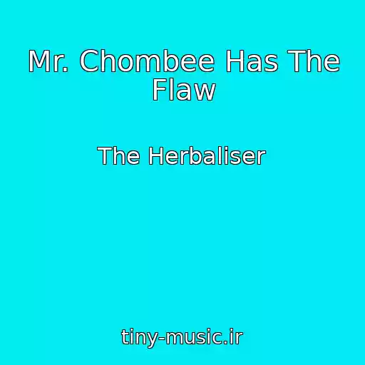 کاور آهنگ Mr. Chombee Has The Flaw از The Herbaliser