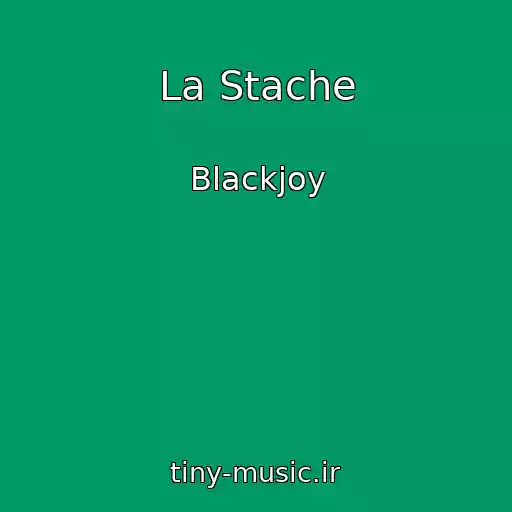 کاور آهنگ La Stache از Blackjoy