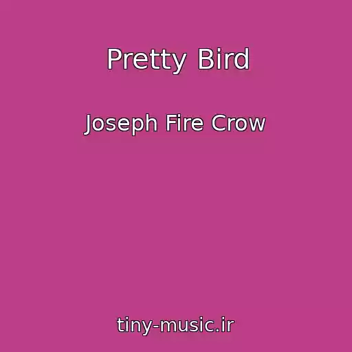 کاور آهنگ Pretty Bird از Joseph Fire Crow