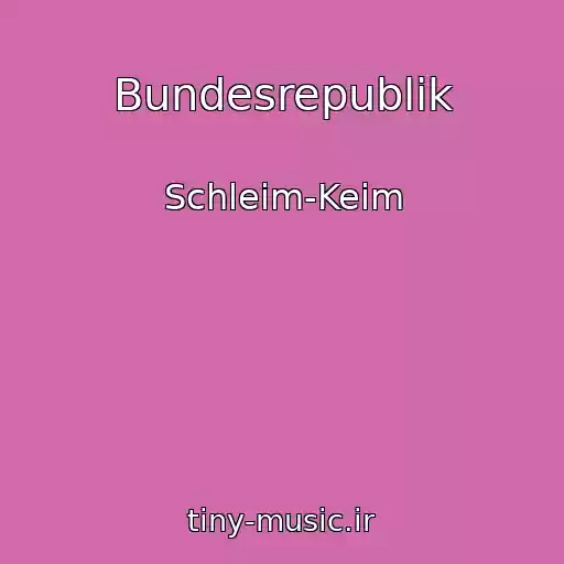 کاور آهنگ Bundesrepublik از Schleim-Keim