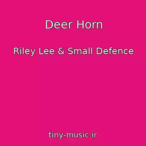 کاور آهنگ Deer Horn از Riley Lee & Small Defence