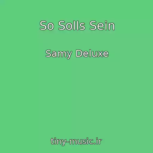 کاور آهنگ So Solls Sein از Samy Deluxe