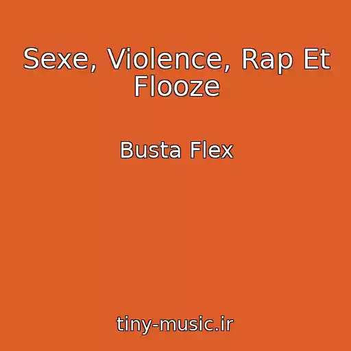 کاور آهنگ Sexe, Violence, Rap Et Flooze از Busta Flex