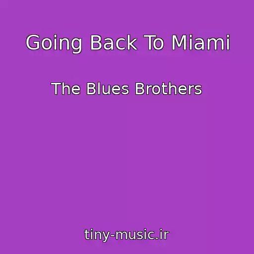 کاور آهنگ Going Back To Miami از The Blues Brothers