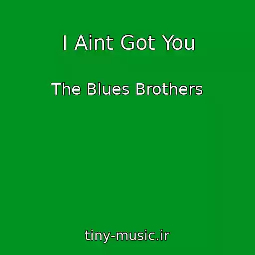 کاور آهنگ I Aint Got You از The Blues Brothers