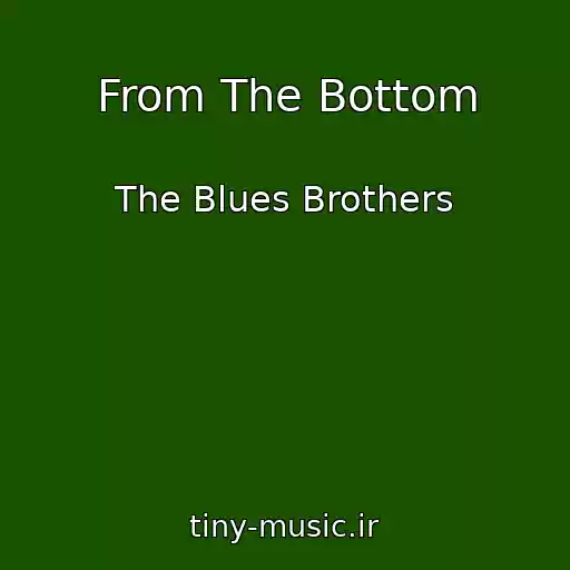 کاور آهنگ From The Bottom از The Blues Brothers
