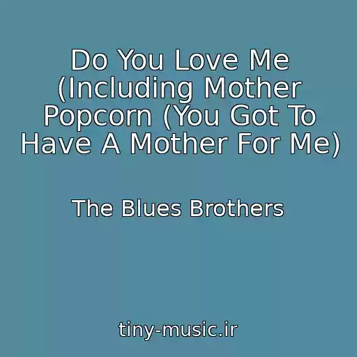 کاور آهنگ Do You Love Me (Including Mother Popcorn (You Got To Have A Mother For Me) از The Blues Brothers