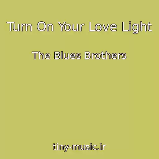 کاور آهنگ Turn On Your Love Light از The Blues Brothers