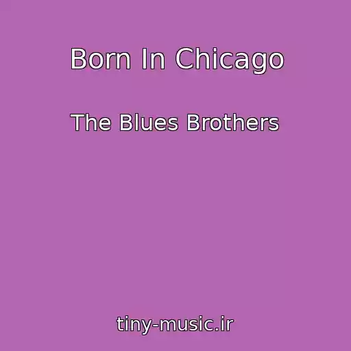 کاور آهنگ Born In Chicago از The Blues Brothers