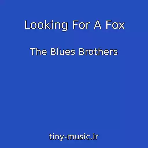 کاور آهنگ Looking For A Fox از The Blues Brothers