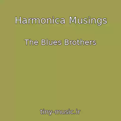 کاور آهنگ Harmonica Musings از The Blues Brothers