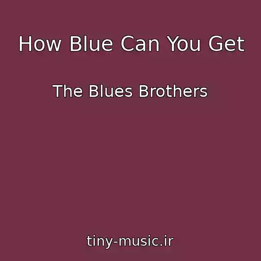 کاور آهنگ How Blue Can You Get از The Blues Brothers