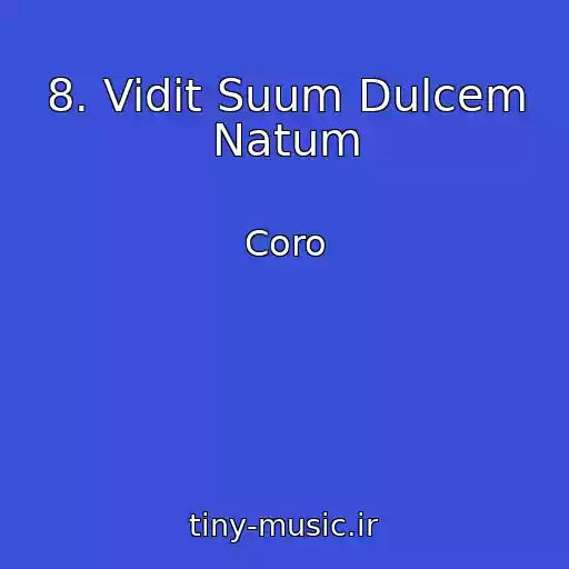 کاور آهنگ 8. Vidit Suum Dulcem Natum از Coro