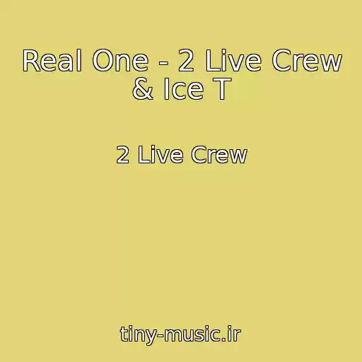 کاور آهنگ Real One - 2 Live Crew & Ice T از 2 Live Crew