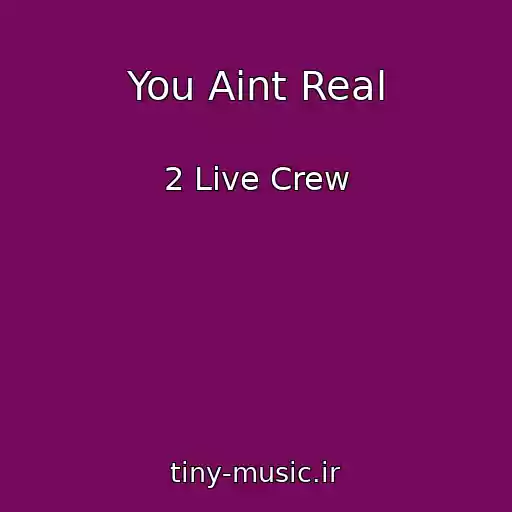 کاور آهنگ You Aint Real از 2 Live Crew