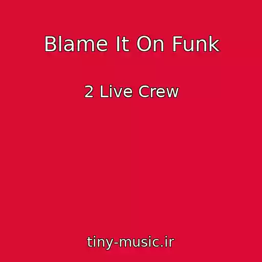 کاور آهنگ Blame It On Funk از 2 Live Crew