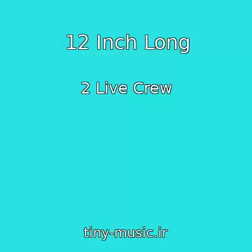 کاور آهنگ 12 Inch Long از 2 Live Crew