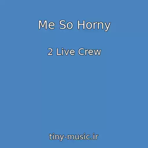 کاور آهنگ Me So Horny از 2 Live Crew