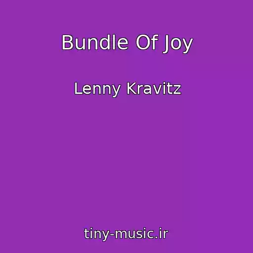 کاور آهنگ Bundle Of Joy از Lenny Kravitz