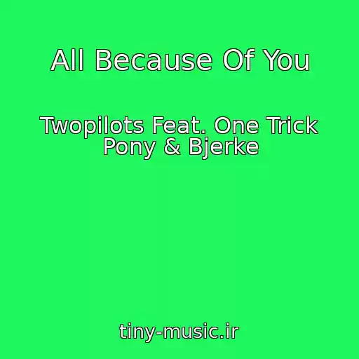 کاور آهنگ All Because Of You از Twopilots Feat. One Trick Pony & Bjerke