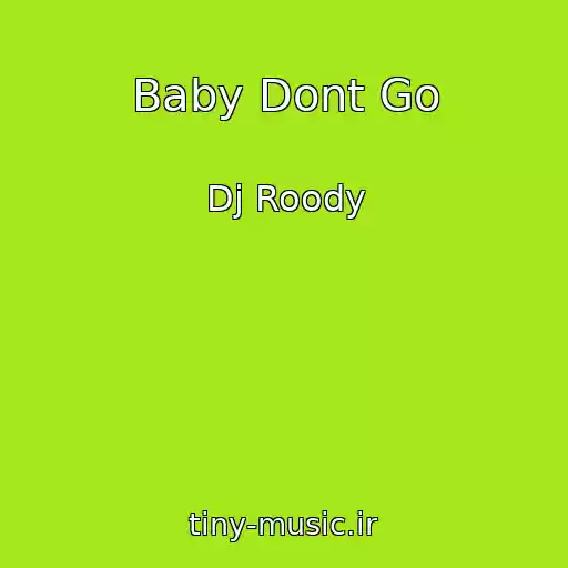 کاور آهنگ Baby Dont Go از Dj Roody