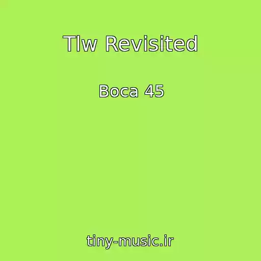 کاور آهنگ Tlw Revisited از Boca 45