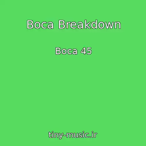 کاور آهنگ Boca Breakdown از Boca 45