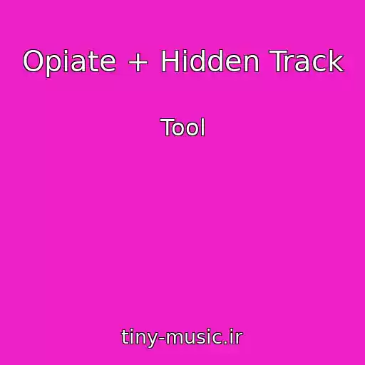 کاور آهنگ Opiate + Hidden Track از Tool
