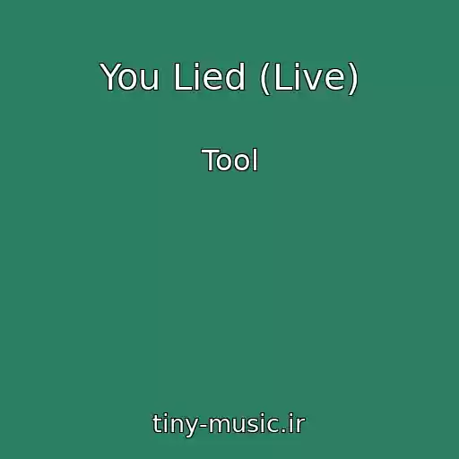 کاور آهنگ You Lied (Live) از Tool