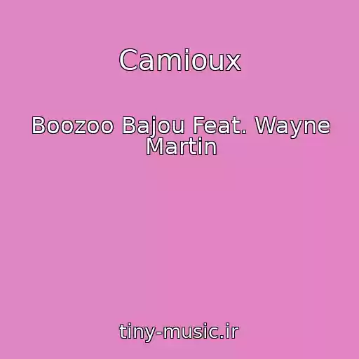 کاور آهنگ Camioux از Boozoo Bajou Feat. Wayne Martin