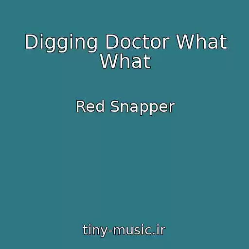 کاور آهنگ Digging Doctor What What از Red Snapper