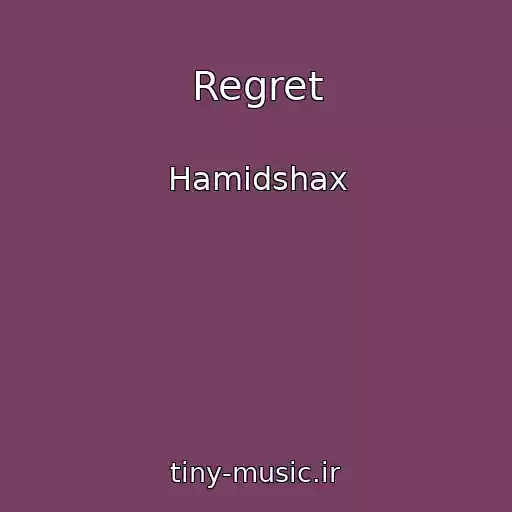 کاور آهنگ Regret از Hamidshax