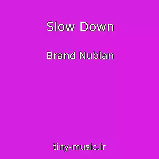 کاور آهنگ Slow Down از Brand Nubian