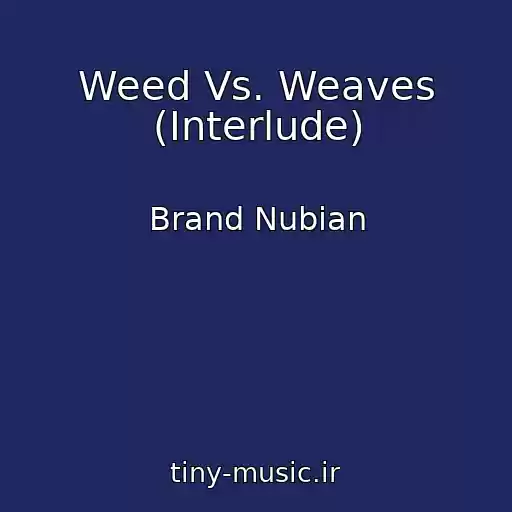 کاور آهنگ Weed Vs. Weaves (Interlude) از Brand Nubian